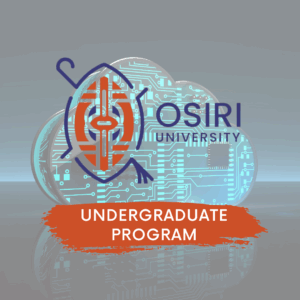 Bachelor Of Science In Business Intelligence And Information Systems